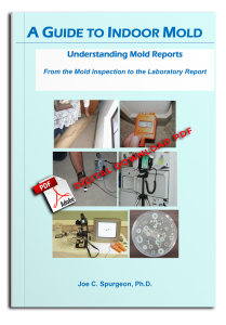 A-GUIDE-TO-INDOOR-MOLD-2025