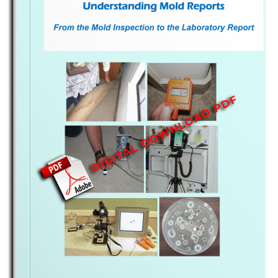 A-GUIDE-TO-INDOOR-MOLD-2025