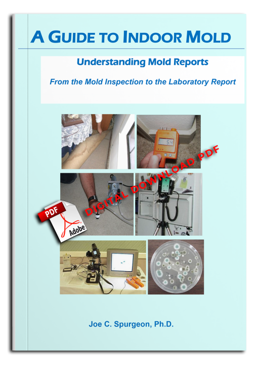 A-GUIDE-TO-INDOOR-MOLD-2025